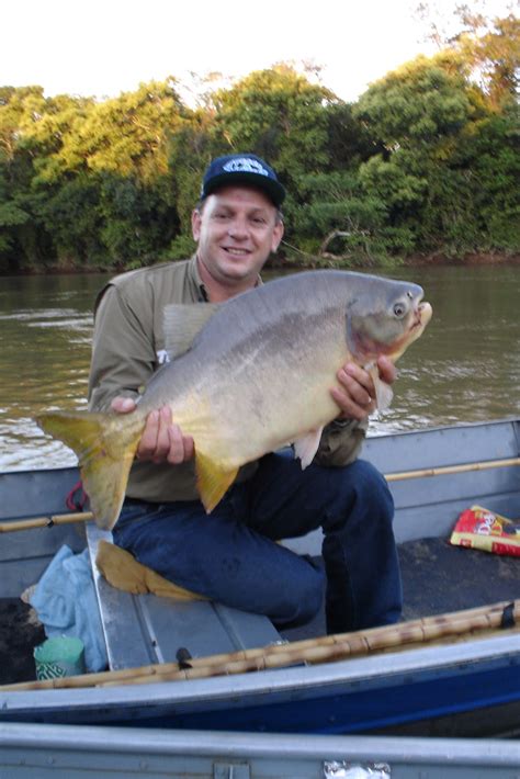 A Pesca Esportiva É Emocionante Pratique O Pesque E Solte