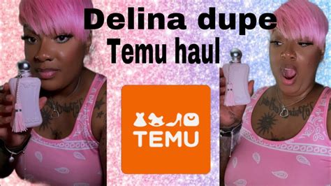 Delina Dupe Temu Haul YouTube