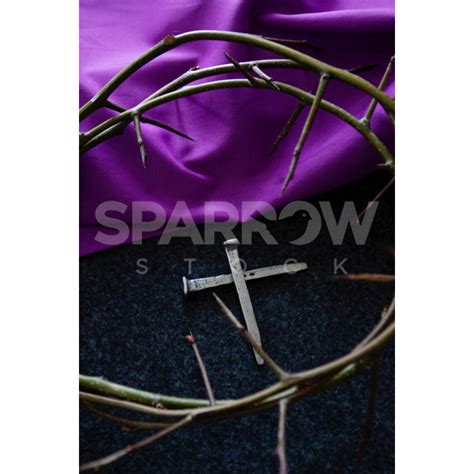 Cross of Nails in Crown of Thorns - Christian Stock Photo - SparrowStock