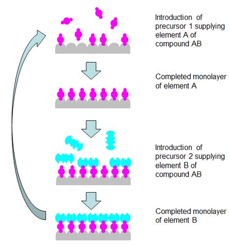 Simplified Illustration Of A Single Monolayer Formation Cycle In The