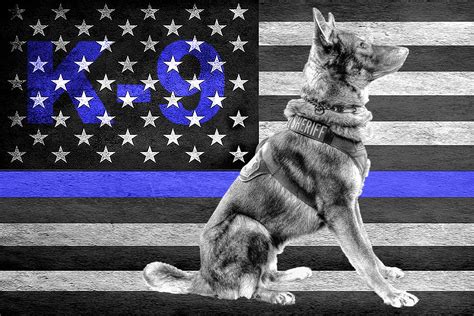 Police K9 Wallpapers - Top Free Police K9 Backgrounds - WallpaperAccess