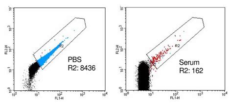 Inhibition Of Prp Aggregation In Serum Fitc Labeled Recombinant Bovine