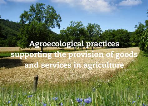 Agroecological Practices • Agroecology Europe