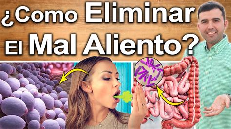 CÓMO ELIMINAR EL MAL ALIENTO Causas Y Soluciones Para Eliminar El