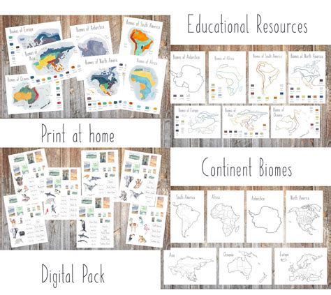 DIGITAL Continent Biomes Map Geography Cards Biomes Map Etsy UK