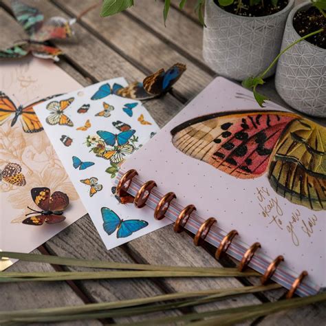 Undated Papillon Butterfly Classic Daily Planner 4 Months Happy Planner