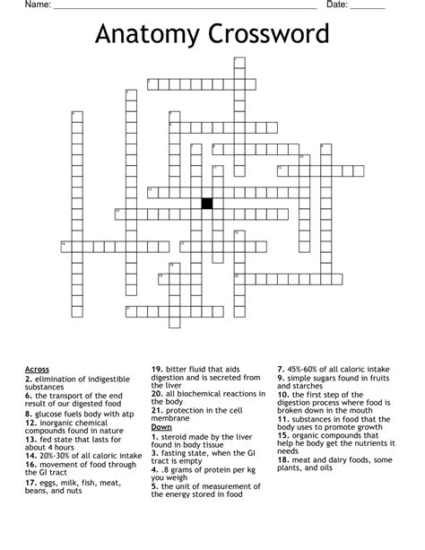 Anatomy Crossword Wordmint