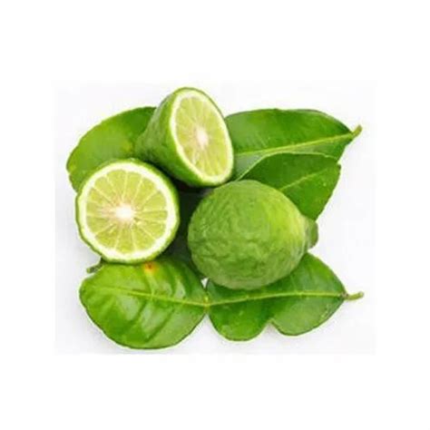 100 Citrus Bergamia Bergamot Oil For Aromatherapy At Rs 1500 Kg In Noida