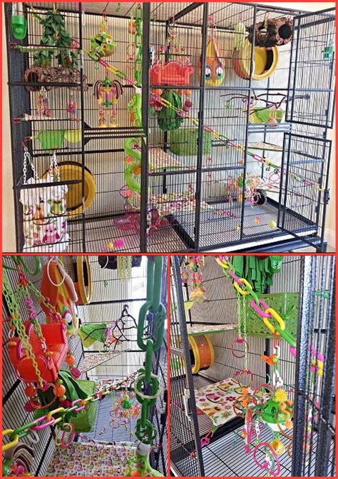 Cage For 4 Sugar Gliders Sugar Glider Habitat Sugar Glider Sugar