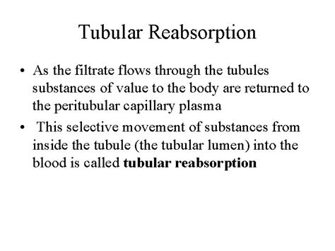 Urine Formation Results From Glomerular Filtration Tubular Reabsorption