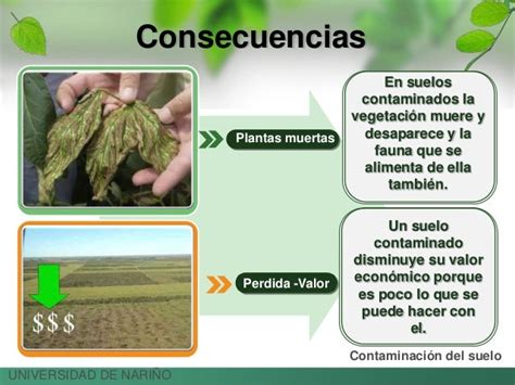 Contaminacion Del Suelo