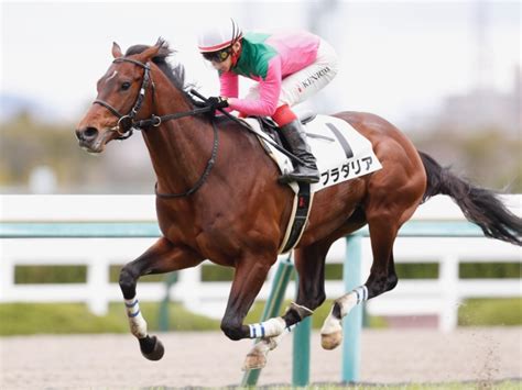 【今日の注目ポイント】中山でオールカマー、中京では神戸新聞杯 競馬ニュース Netkeiba