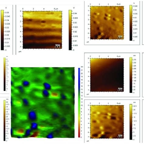 Afm Images Of Thyme Based Silver Nanoparticles T Agnps The Afm