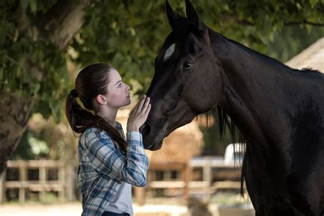 ‘black Beauty Review A Melodrama In Need Of Rougher Edges The New