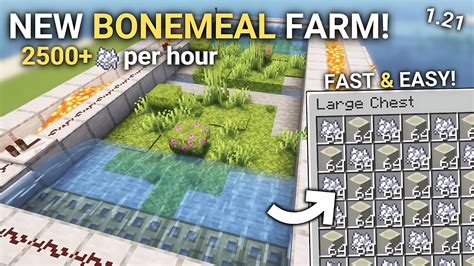 The Best BoneMeal Farm In Minecraft 1 21 Tutorial YouTube