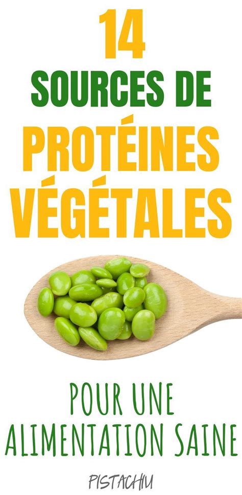 14 Sources De Protéines Végétales Pour Une Alimentation Saine