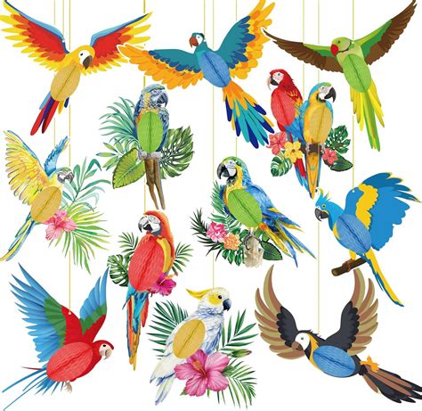 Amazon Pieces Tropical Birds Honeycomb Paper Cutouts Hanging