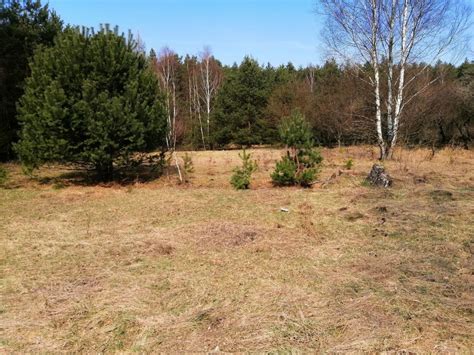 Działka Przełazy bez pośrednika 7500 m2 367 500 zł