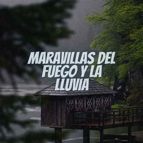 Maravillas Del Fuegos Y La Lluvia Sonidos De Lluvia Y Naturaleza Qobuz