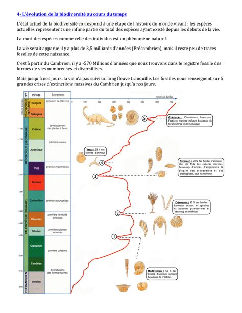 Chapitre 3 La Biodiversité Résultat Et étape De Lévolution Alloschool