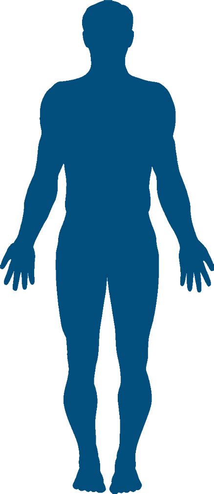 Human Body Cartoon Png