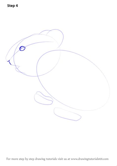 How To Draw An American Pika Other Animals Step By Step