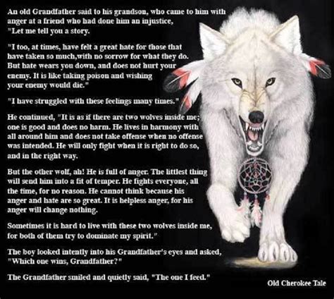 Consciously Feeding My White Wolf Wolf Quotes Native American Quotes Native American Wolf