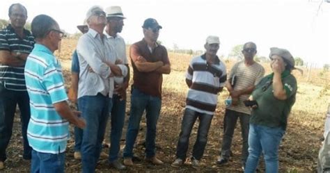 Produtores de Tocantins participam de capacitação do ABC Cerrado