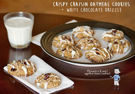 Crispy Craisin Oatmeal Cookies With White Chocolate Drizzle Obsessive