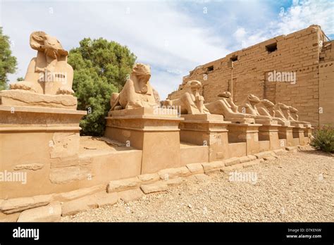 Sphinxes Avenue Luxor Egypt Stock Photo Alamy