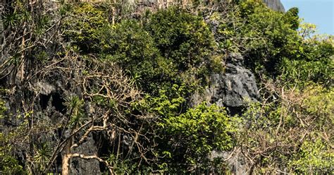 Rhiannan Iffland Au Red Bull Cliff Diving El Nido 2019