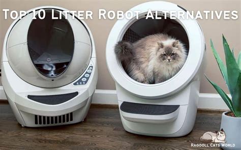 Top 10 Litter Robot Alternatives