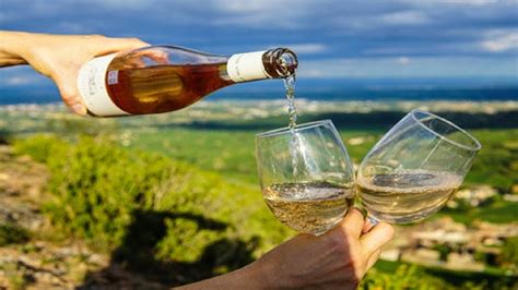 The Best Tours For Wine Tasting In The Algarve | The Real Algarve