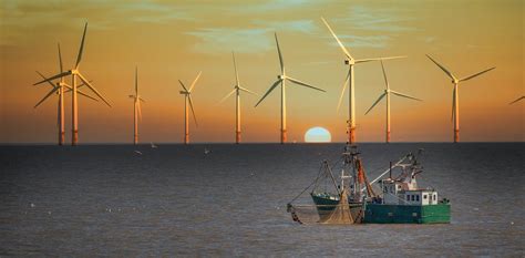 The world needs hundreds of thousands more offshore wind turbines ...