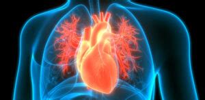 Coronary Ct Calcium Scoring Heritage Valley Health System