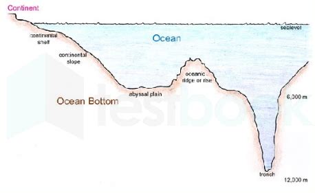 Ocean Floor Diagram Seamount | Review Home Co