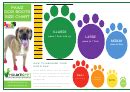 Pawz Dog Boots Size Chart printable pdf download