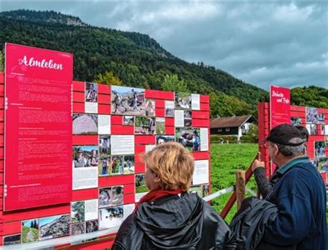 OVB Heimatzeitungen Aufgekranzelt zurück ins Tal Almabtrieb in