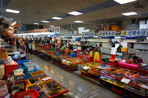 Walk With Cham Jagalchi Fish Market Busan South Korea