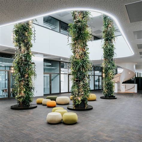 Biophilic Design The Many Uses Of Plants In Interiors Anooi