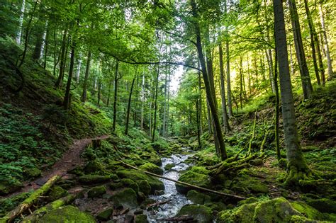 Wanderung Auf Den Spuren Des Eisvogels Wanderung Outdooractive