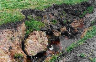 Surface Drainage Systems Managing Wet Soils Dairy Livestock And