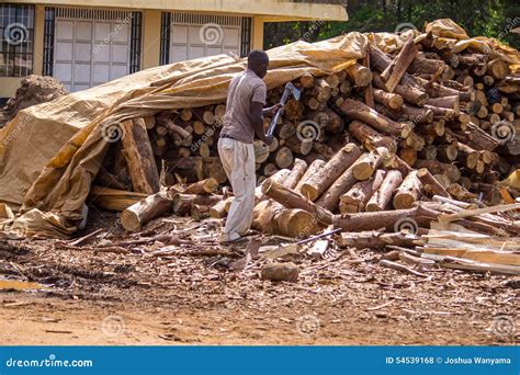 Boy Chopping Firewood In The Nature For A Fire Stock Photography ...