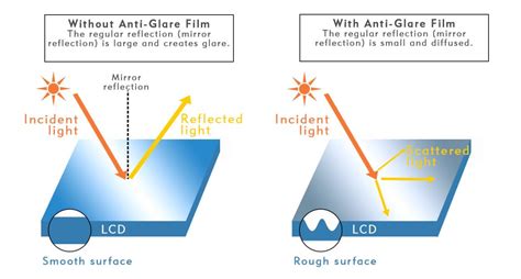 Window Color Vs Blinds Which One Wins The Battle