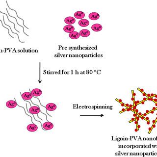 Schematic Representation For The Synthesis Of PVA Lignin Nanofiber Mat