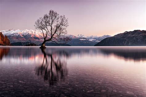 New Zealand Winter Scenery :: Behance