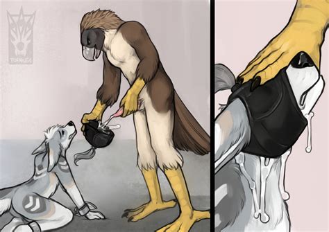 Rule 34 Accipitrid Accipitriform Ambiguous Gender Ass Avian Beak Bird