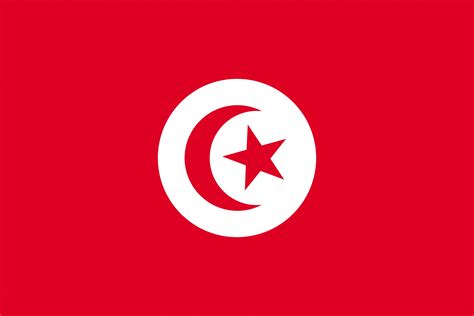 Tunisia Flag Wallpapers - 4k, HD Tunisia Flag Backgrounds on WallpaperBat