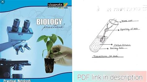 Biology Practical File Class 12 With Diagrams Pdf Provided Youtube