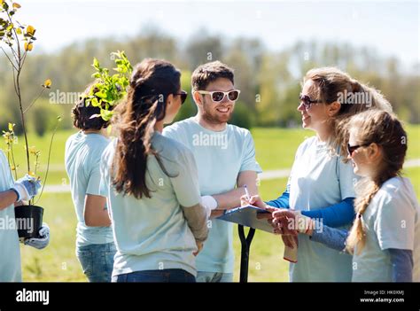 Group Of Volunteers Planting Trees In Park Stock Photo Alamy